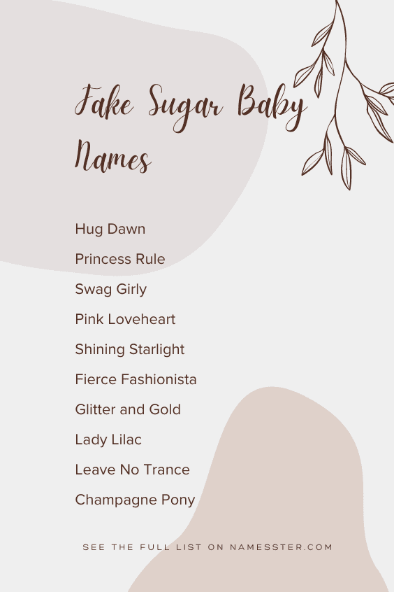 Fake Sugar Baby Names