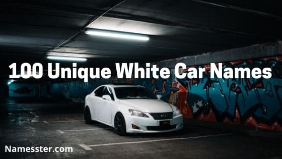 100 Unique White Car Names 2022 Edition Namesster COM