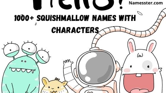 1000-squishmallow-names-with-characters