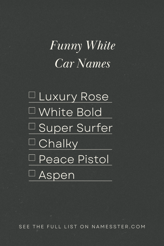 Funny White Car Names