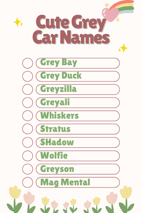 Cute Grey Car Names