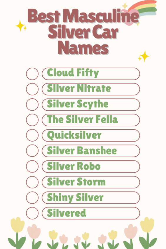 Best Masculine Silver Car Names