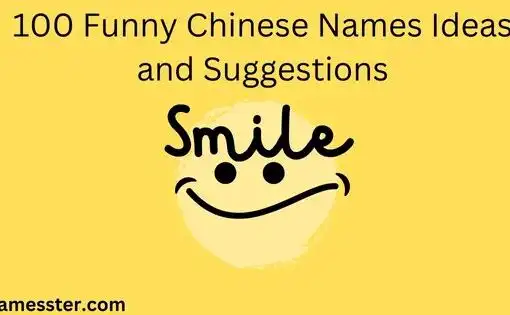 "Funny Chinese Names