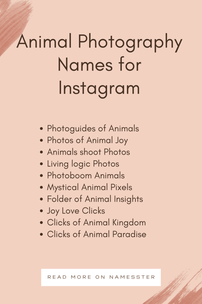 Animal Photography Names for Instagram