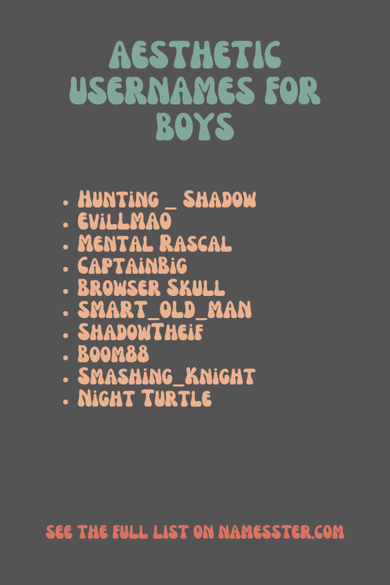 Aesthetic Usernames for Boys