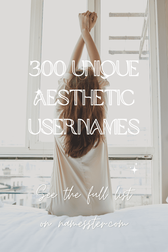 300 Unique Aesthetic Usernames