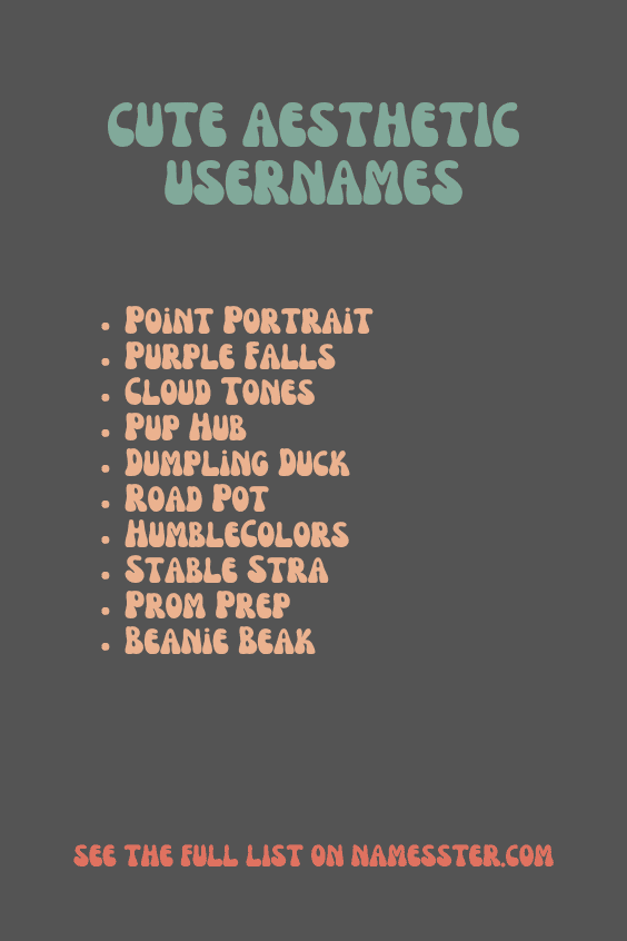 Cute Aesthetic Usernames