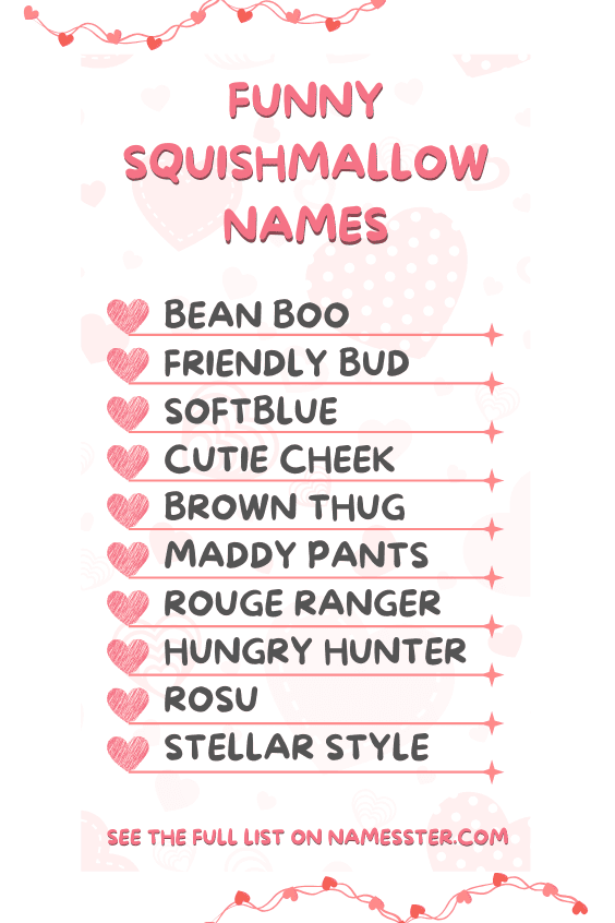 Funny Squishmallow Names