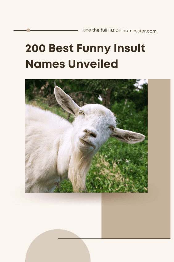 200 Best Funny Insult Names Unveiled