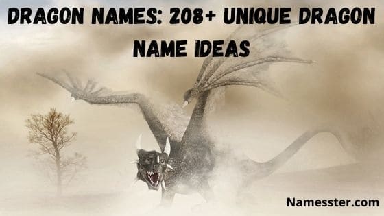 dragon nicknames